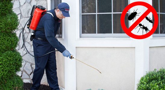 Pozantı Gümüşkurt İlaçlama böcek ilaçlama ve haşere kontrolü — ilaclama-tr.com